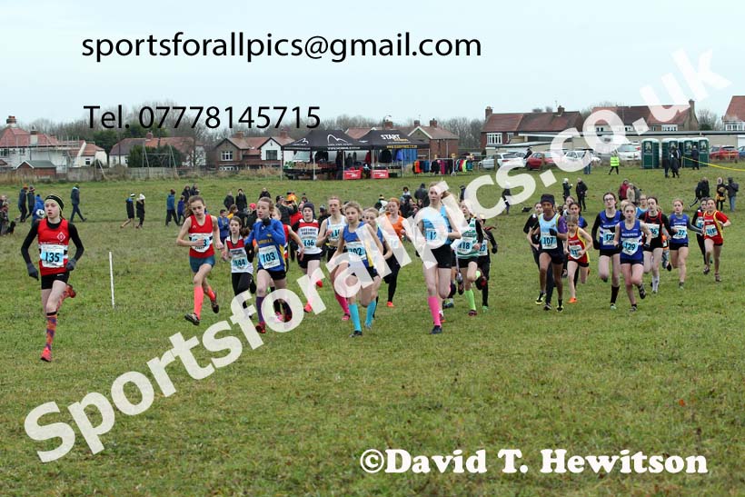 Girls under-13s, 2021 North Eastern Cross Country Championships, Sedgefield. Photo: David T. Hewitson/Sports for All Pics